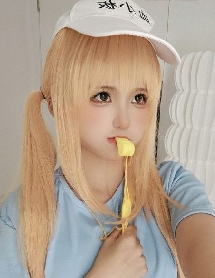 玫瑰陷落短剧免费全集