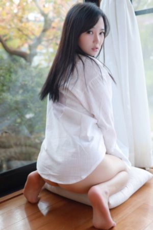 玉蒲团之偷情宝鉴